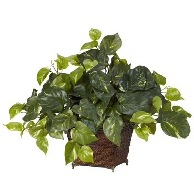 Homplanti Pothos W/coiled Rope Planter Silk Plant