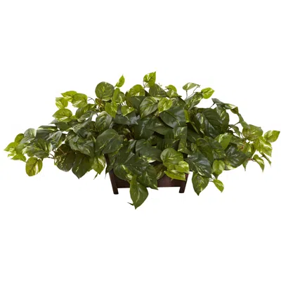 Homplanti Pothos W/rectangle Decorative Planter
