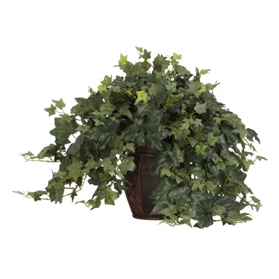 Homplanti Puff Ivy W/vase