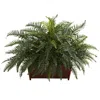 Homplanti River Fern W/wood Planter