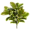 Homplanti Rubber Leaf Artificial Plant (real Touch) (set Of 3) 23"