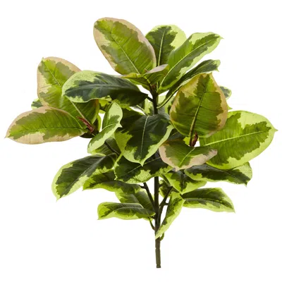 Homplanti Rubber Leaf Artificial Plant (real Touch) (set Of 3) 23" In Green