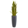 Homplanti Sansevieria Artificial Plant In Gray Planter 4.5'