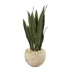 Homplanti Sansevieria Artificial Plant In Sand Colored Planter 32"