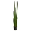 Homplanti Sansevieria Snake Artificial Plant 5'