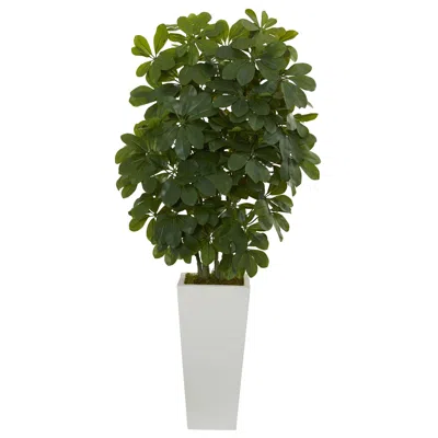 Homplanti Schefflera Artificial Plant In White Vase (real Touch) 40"