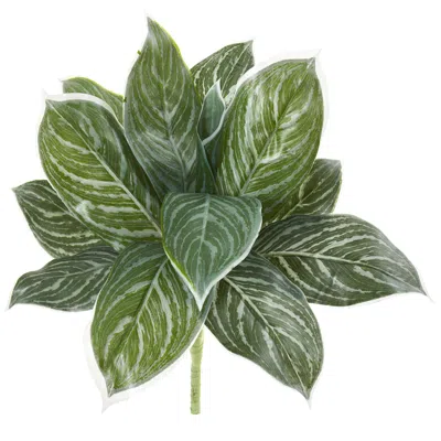 Homplanti Silver Aglonema Artificial Plant (real Touch) (set Of 6) 21" In Green