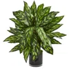 Homplanti Silver King Artificial Plant In Black Glass Vase