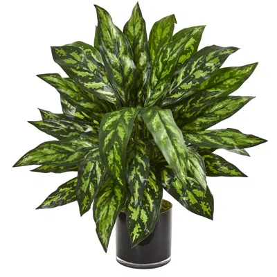 Homplanti Silver King Artificial Plant In Black Glass Vase In Green
