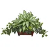 Homplanti Silver Queen And Ivy Artificial Plant In Decorative Planter