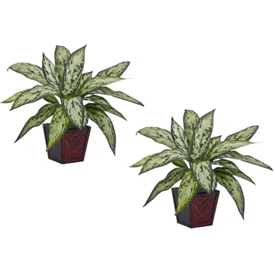 Homplanti Silver Queen Silk Plant (set Of 2)