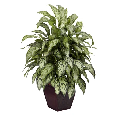 Homplanti Silver Queen W/decorative Planter Silk Plant