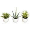 Homplanti Southwest Collection (set Of 3)