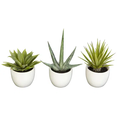 Homplanti Southwest Collection (set Of 3) In Green