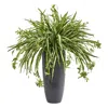 Homplanti Spider Artificial Plant In Cylinder Planter 33"