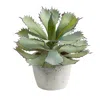 Homplanti Succulent Artificial Plant 11"