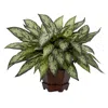 Homplanti Triple Silver Queen W/hexagon Vase