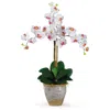 Homplanti Triple Stem Phalaenopsis Silk Orchid Arrangement