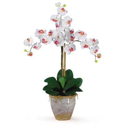 Homplanti Triple Stem Phalaenopsis Silk Orchid Arrangement