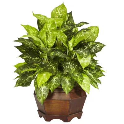 Homplanti Variegated Dieffenbachia W/large Hexagon Silk Plant