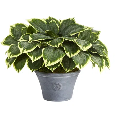 Homplanti Variegated Hosta Artificial Plant In Gray Planter 23" In Gold