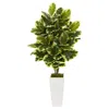 Homplanti Variegated Rubber Leaf Artificial Plant In White Tower Vase