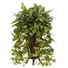Homplanti Vining Mixed Greens W/decorative Stand