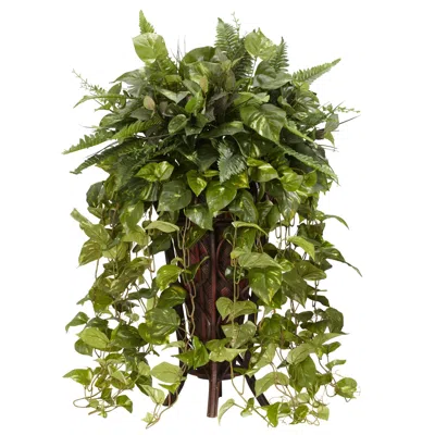 Homplanti Vining Mixed Greens W/decorative Stand
