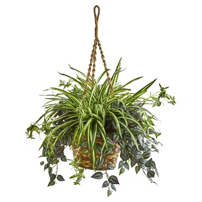 Homplanti Wandering Jew & Spider Artificial Plant In Hanging Basket 30"