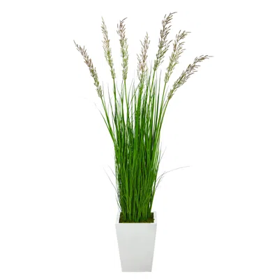 Homplanti Wheat Grass Artificial Plant In White Metal Planter 64"