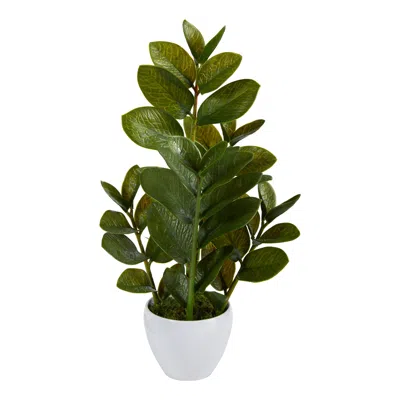 Homplanti Zamioculcas Artificial Plant In White Planter 22"