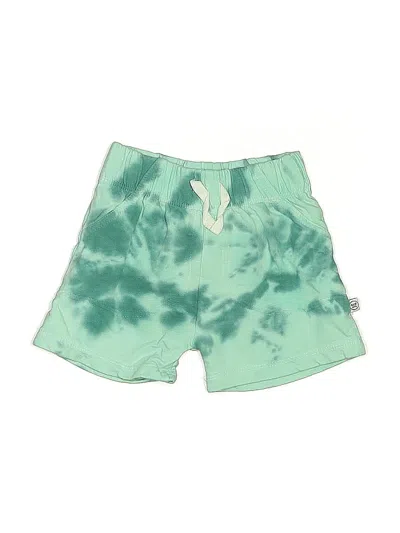 Pre-owned Honest Baby Clothing Babies' Shorts In Blue