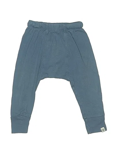Pre-owned Honest Baby Clothing Babies' Sweatpants In Blue