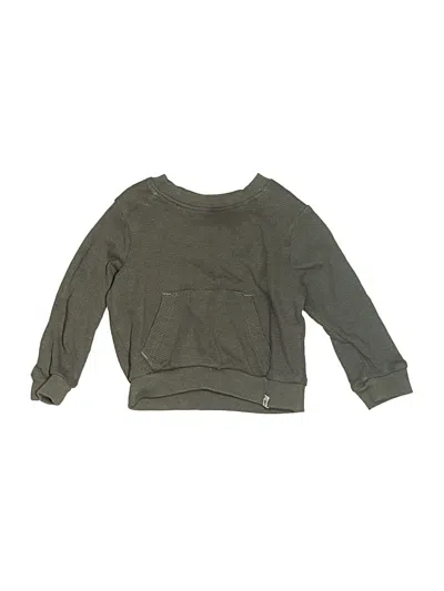 Pre-owned Honest Baby Clothing Babies' Sweatshirt In Green