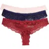 Honeydew 3-pack Lace Thong In Wish/north Star/vixen