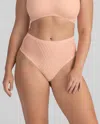 Honeylove Silhouette Thong In Pink