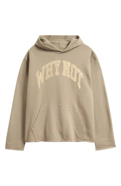 Honor The Gift Why Not Graphic Hoodie In Brown