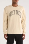 Honor The Gift Why Not Long Sleeve Graphic T-shirt In Neutral