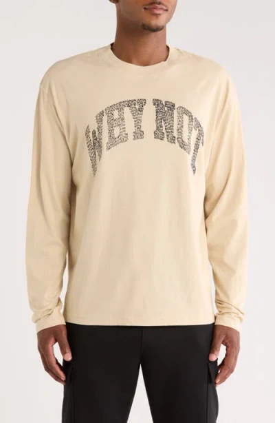 Honor The Gift Why Not Long Sleeve Graphic T-shirt In Neutral