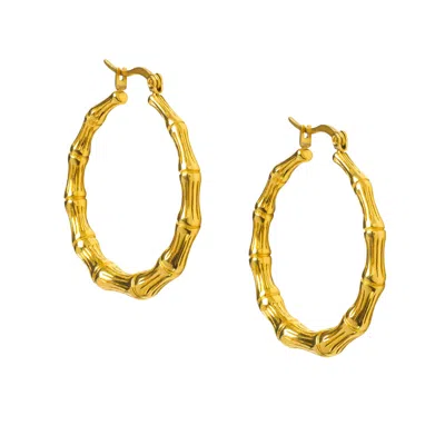 Hoops + Chains Ldn Women's Gold Solange Hoops