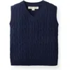 Hope & Henry Baby Boys' Organic Cricket Sweater Vest, Infant In Navy