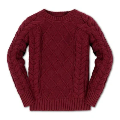 Hope & Henry Baby Boys' Organic Raglan Fisherman Sweater, Infant In Oxblood Fisherman
