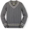 Hope & Henry Baby Boys' Organic V-neck Cricket Sweater, Infant In Dark Gray Heather Cable