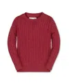 Hope & Henry Boys' Organic Cable Crewneck Pullover Sweater - Little Kid, Big Kid In Red