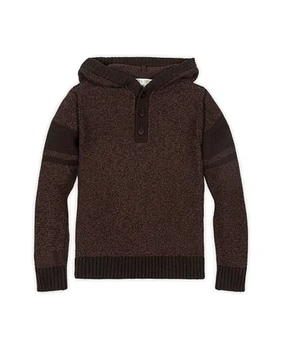 HOPE & HENRY BOYS' ORGANIC LONG SLEEVE HOODED HENLEY SWEATER - LITTLE KID, BIG KID