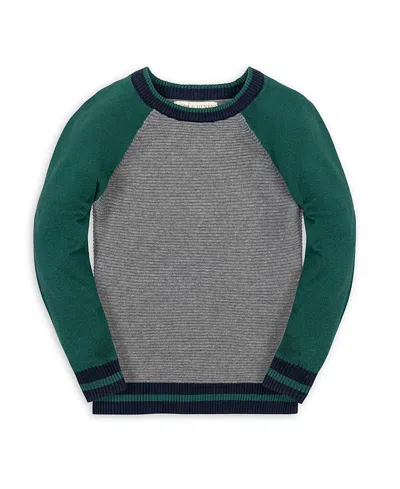 Hope & Henry Boys' Organic Long Sleeve Raglan Sweater - Big Kid In Green