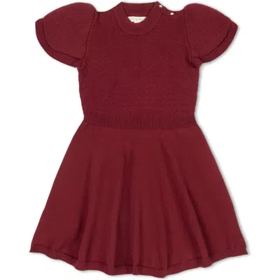 Hope & Henry Babies'  Girls' Organic Flutter Sleeve Sweater Dress, Toddler In Oxblood
