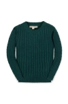 Hope & Henry Kids' Organic Cable Crewneck Pullover Sweater In Green