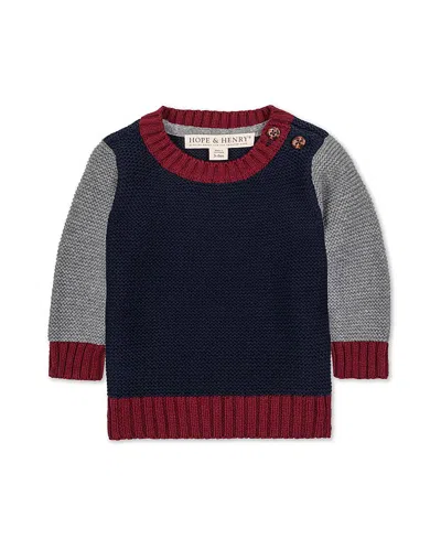 Hope & Henry Organic Long Sleeve Crewneck Pullover Sweater - Baby In Blue