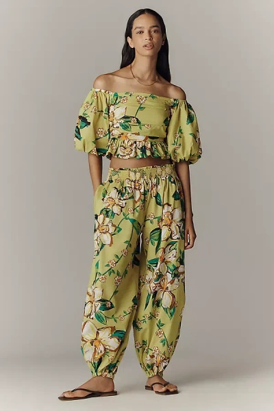Hope For Flowers By Tracy Reese Lily Cotton Balloon Pants In Green